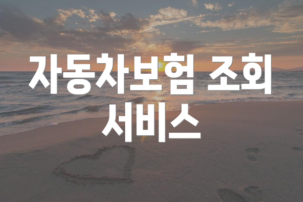 자동차보험 조회 서비스