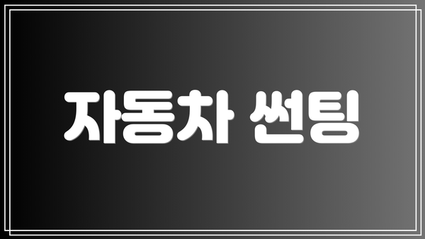 자동차 썬팅