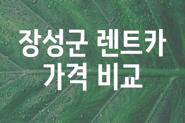 장성군 렌트카 가격 비교