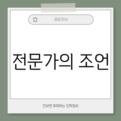 전문가의 조언