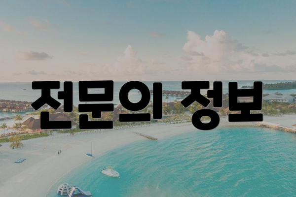 전문의 정보