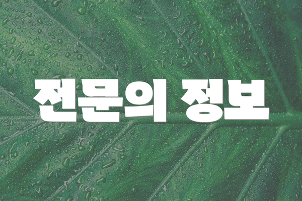 전문의 정보