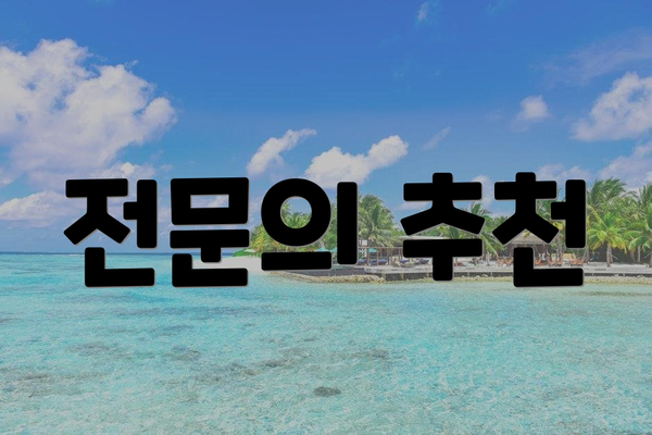 전문의 추천