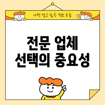 전문 업체 선택의 중요성