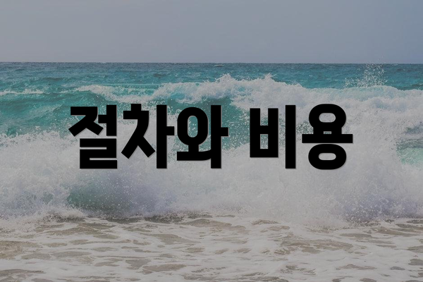 절차와 비용