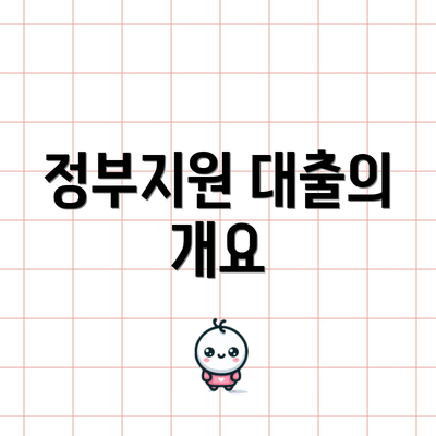 정부지원 대출의 개요