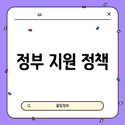 정부 지원 정책