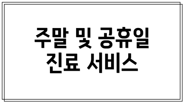 주말 및 공휴일 진료 서비스