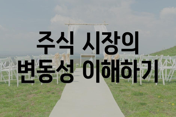 주식 시장의 변동성 이해하기