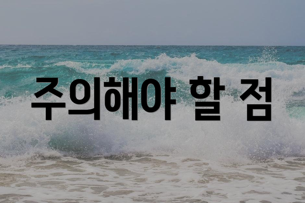 주의해야 할 점