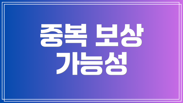 중복 보상 가능성