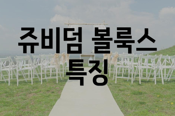 쥬비덤 볼룩스 특징