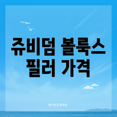 쥬비덤 볼룩스 필러 가격
