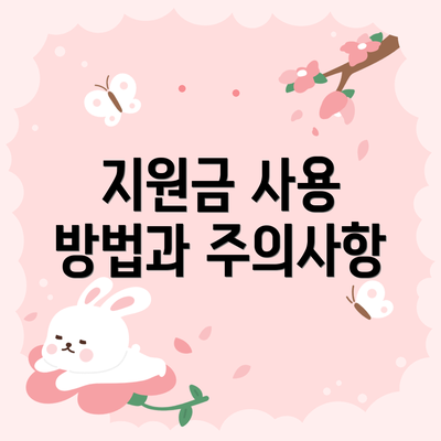 지원금 사용 방법과 주의사항