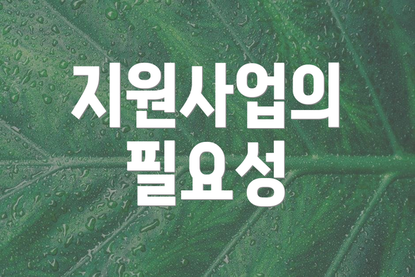 지원사업의 필요성