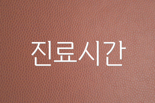 진료시간