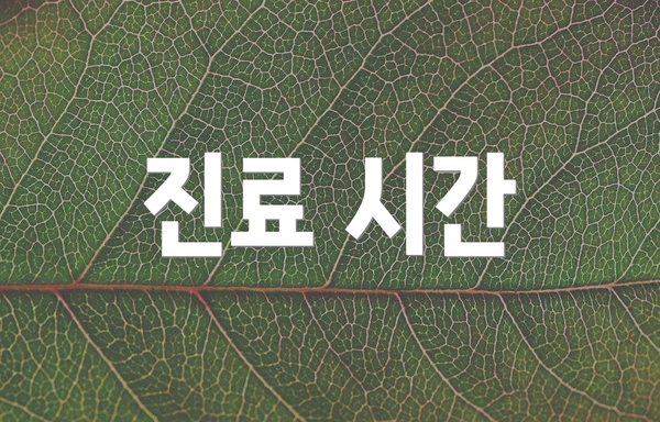 진료 시간