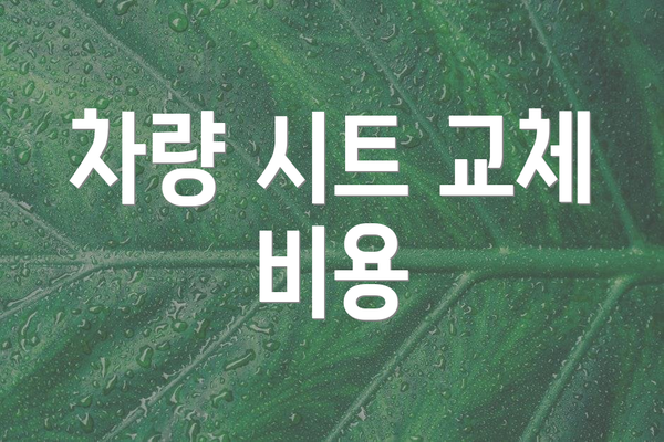 차량 시트 교체 비용