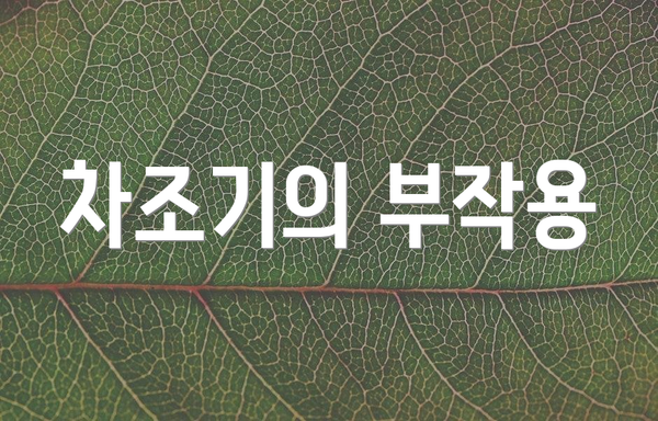 차조기의 부작용