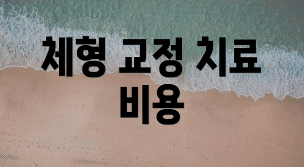 체형 교정 치료 비용