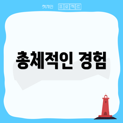 총체적인 경험