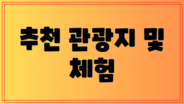 추천 관광지 및 체험