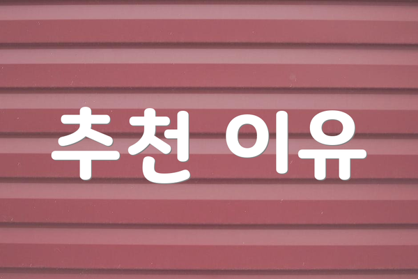 추천 이유