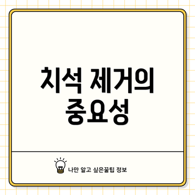 치석 제거의 중요성