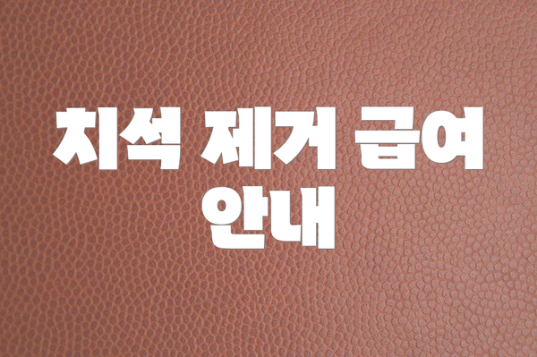 치석 제거 급여 안내
