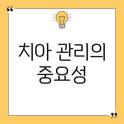 치아 관리의 중요성