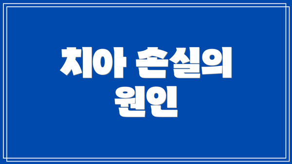 치아 손실의 원인