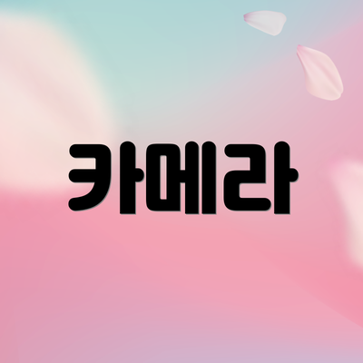 카메라