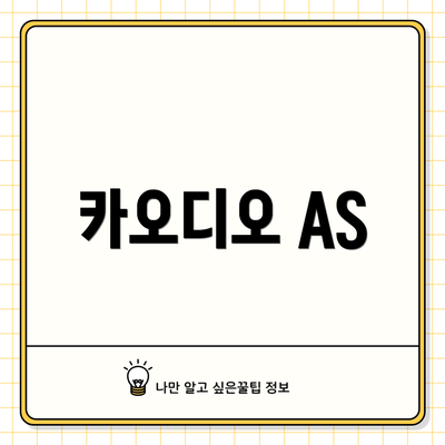 카오디오 AS