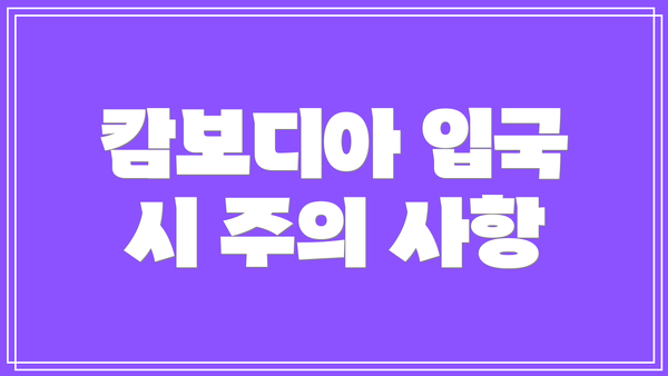 캄보디아 입국 시 주의 사항
