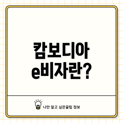 캄보디아 e비자란?