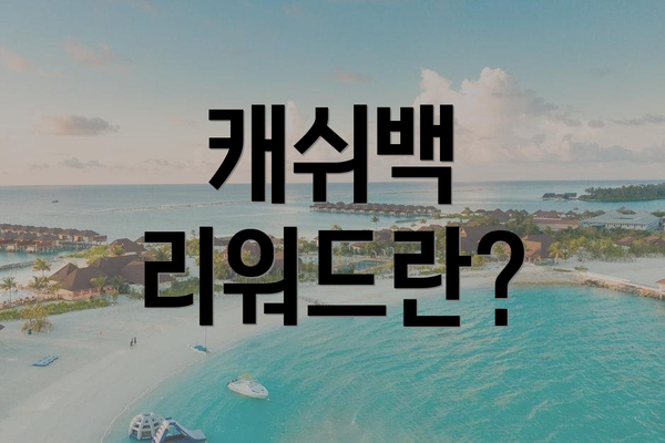 캐쉬백 리워드란?