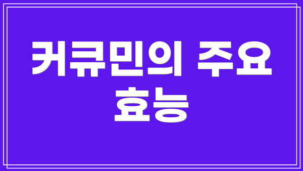 커큐민의 주요 효능