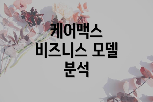 케어맥스 비즈니스 모델 분석
