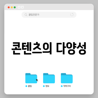 콘텐츠의 다양성