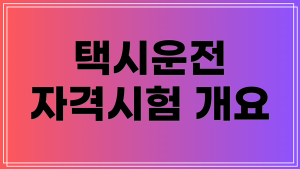 택시운전 자격시험 개요