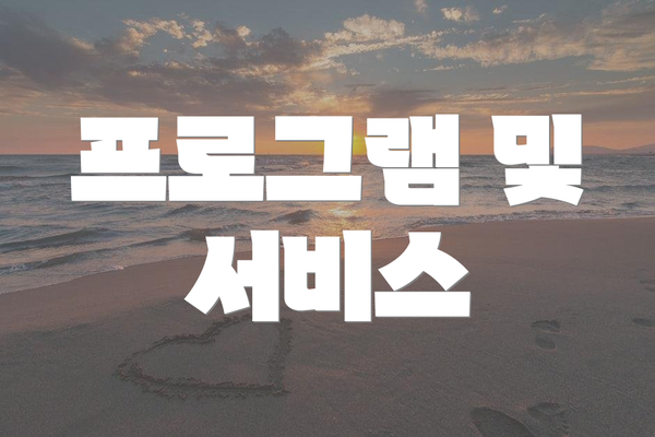 프로그램 및 서비스