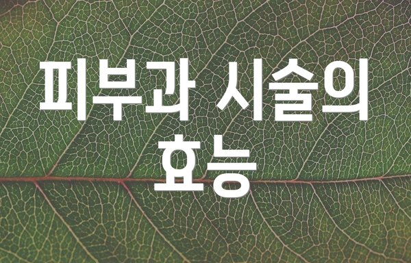 피부과 시술의 효능