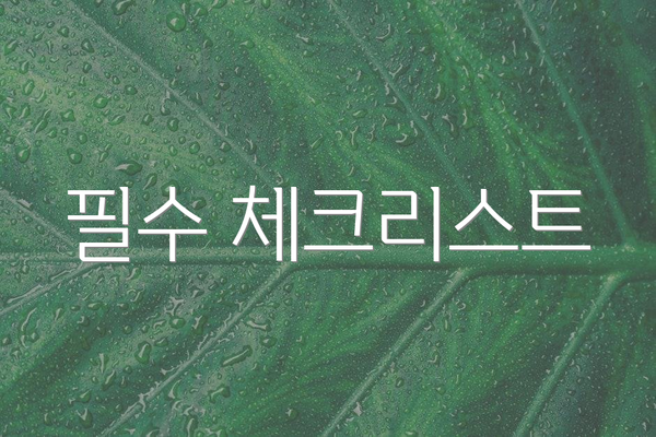 필수 체크리스트