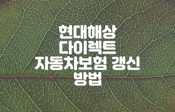 현대해상 다이렉트 자동차보험 갱신 방법
