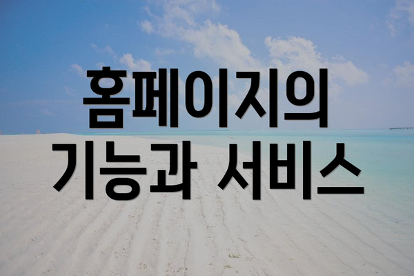 홈페이지의 기능과 서비스
