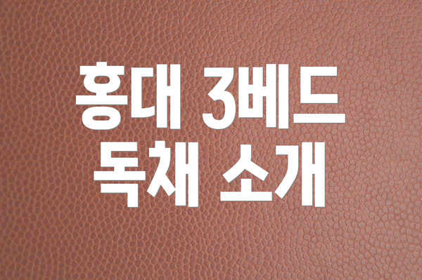 홍대 3베드 독채 소개