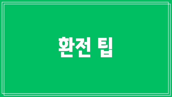 환전 팁