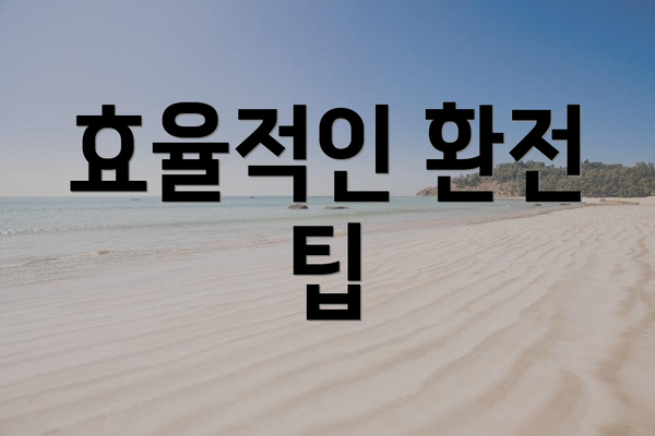 효율적인 환전 팁