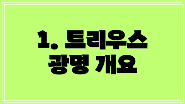 1. 트리우스 광명 개요