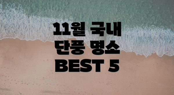 11월 국내 단풍 명소 BEST 5